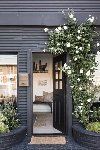 Creep up the walls with flowers Delightful Flower Bed Ideas Must Be Shown In The Front Yard