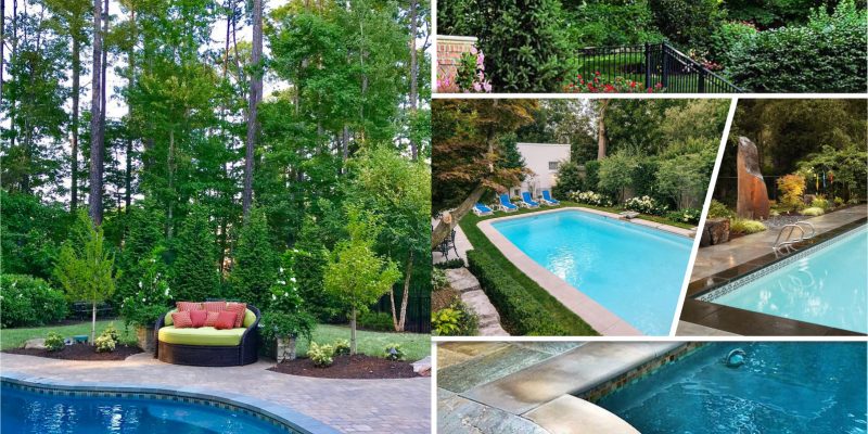 How to create a beautiful landscaping around the pools2