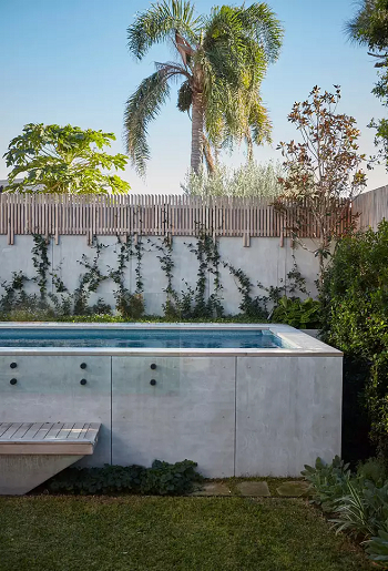 Vines creep up the backyard walls Spectacular Landscaping Ideas To Beautify An Above-Ground Pool