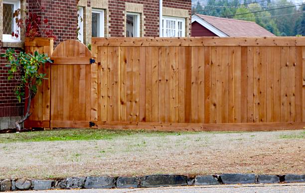 New wooden fence and gate with a professional look of construction