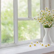 Chamomile in vase on windowsill