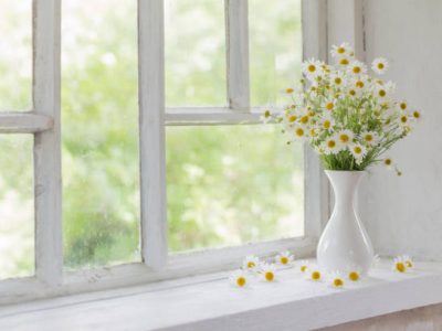 Chamomile in vase on windowsill