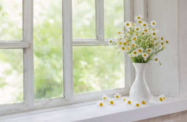 Chamomile in vase on windowsill