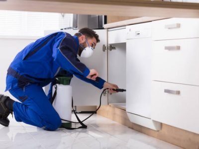 Man spraying pesticide inside the wooden cabinet in the kitchen
