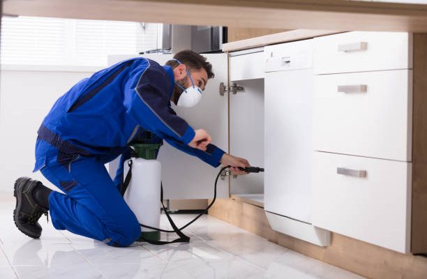 Man spraying pesticide inside the wooden cabinet in the kitchen