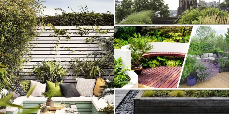 Innovative ways to extend outdoor living space in small garden decking ideas fi