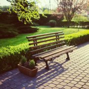 Bench-garden-grass-evening