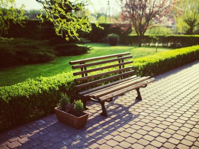 Bench-garden-grass-evening