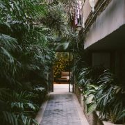 Pexels-photo-1065874