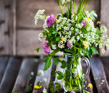 Fill home with herbs Delightful Ways To Make Your Home Smell Nice Every Time