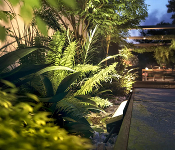 Security lighting Home Improvement Ideas To Keep Gardens Safe And Secure