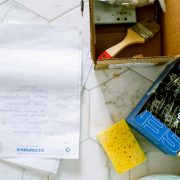 Image1