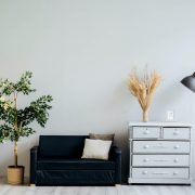 Alexandra-gorn-jiujvqe2zhg-unsplash