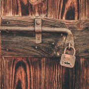 Cristina-gottardi-maawpqvgi00-unsplash