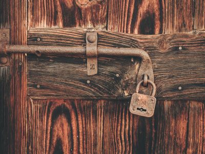 Cristina-gottardi-maawpqvgi00-unsplash