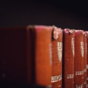 Laurenz-heymann-ol6_pwtgbym-unsplash
