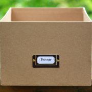 Lia-trevarthen-gwvdupnqr6g-unsplash