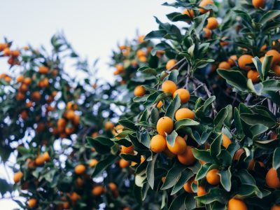 Paul-hanaoka-brxvmv_tbja-unsplash