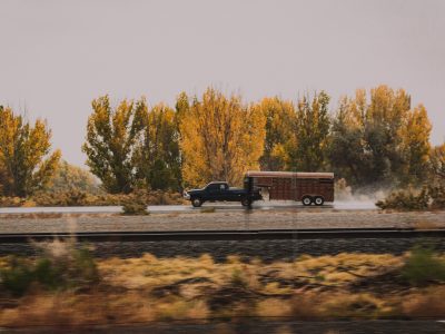 Ralph-ravi-kayden-y7qqxv75pkk-unsplash