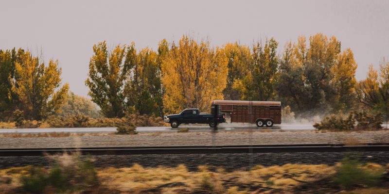 Ralph-ravi-kayden-y7qqxv75pkk-unsplash