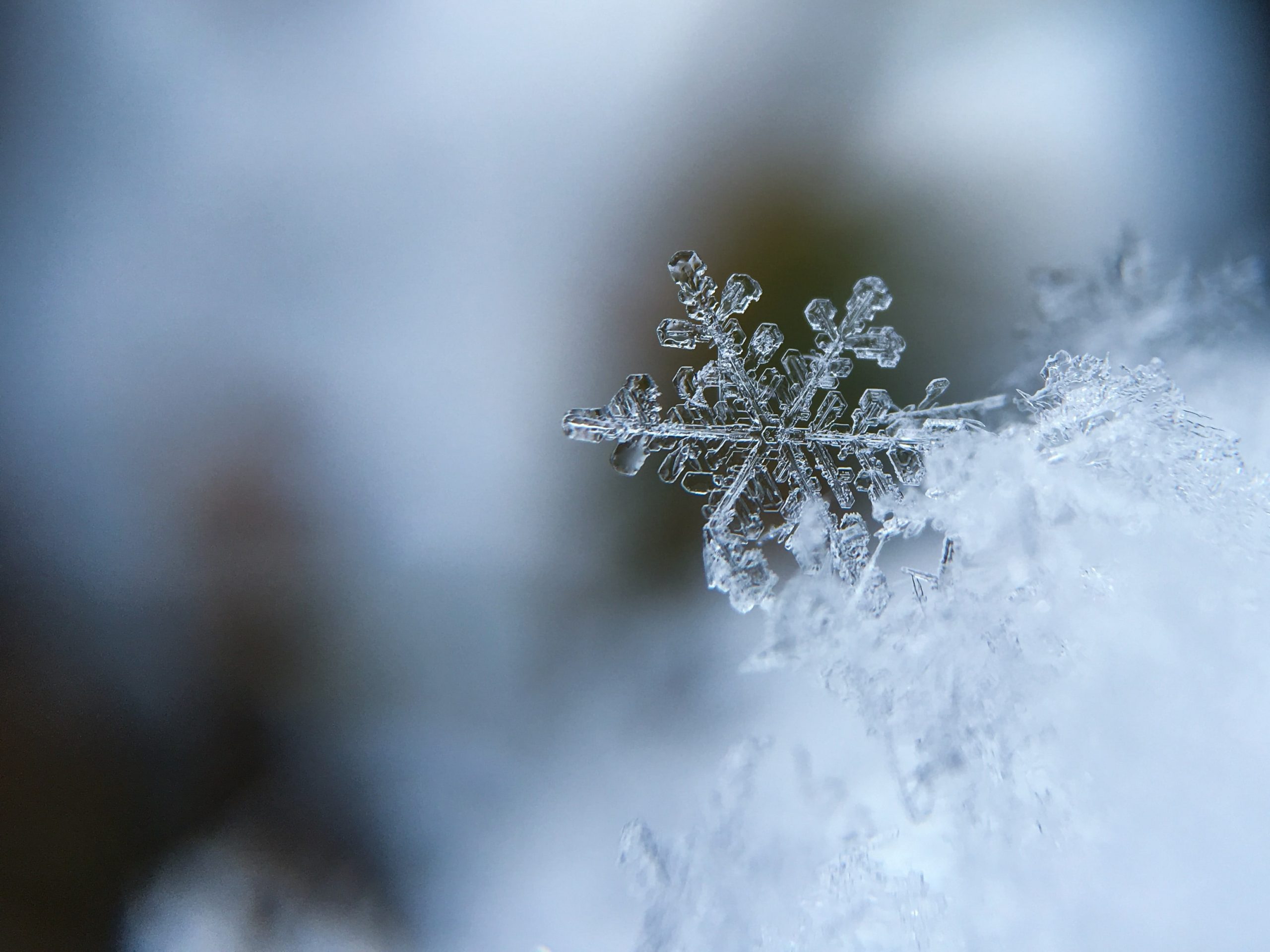 Aaron-burden-5aiwn2u10cw-unsplash