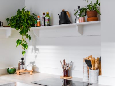 Andrea-davis-45sqzeln1oo-unsplash