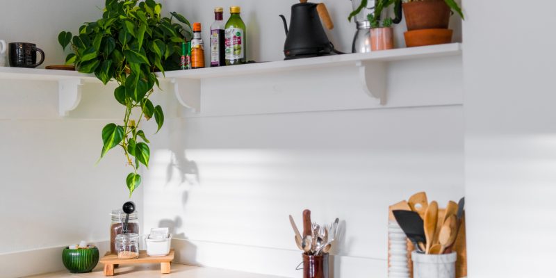 Andrea-davis-45sqzeln1oo-unsplash