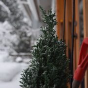 Anna-hill-vnah6rh_dzc-unsplash