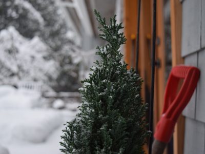 Anna-hill-vnah6rh_dzc-unsplash