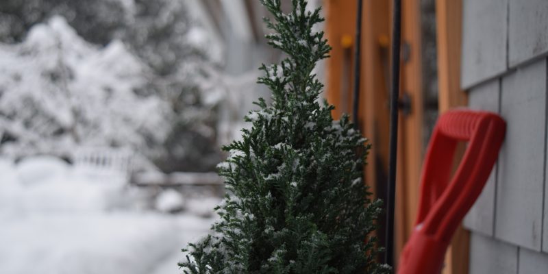 Anna-hill-vnah6rh_dzc-unsplash