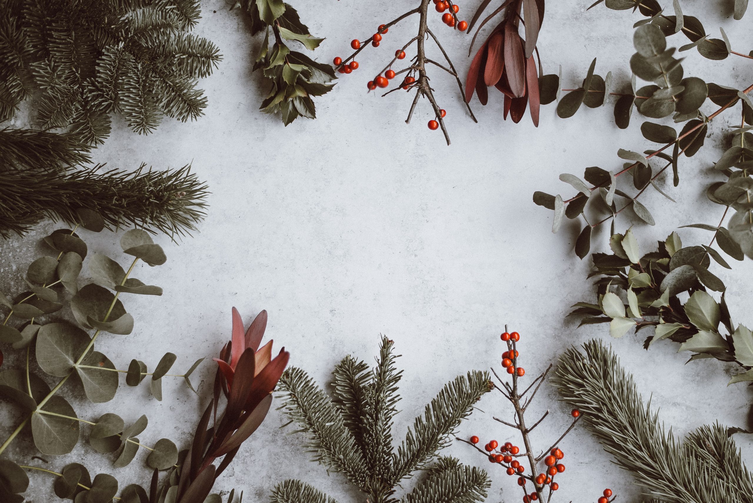 Annie-spratt-vdxtvyjvj7a-unsplash
