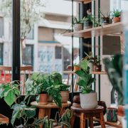 Ceyda-ciftci-ddvu6d_6t80-unsplash