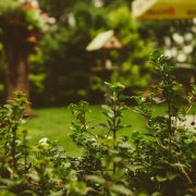 Martin-knize-jjt_7mwrem4-unsplash