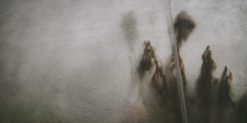 Tim-mossholder-xqdtraf5-g8-unsplash