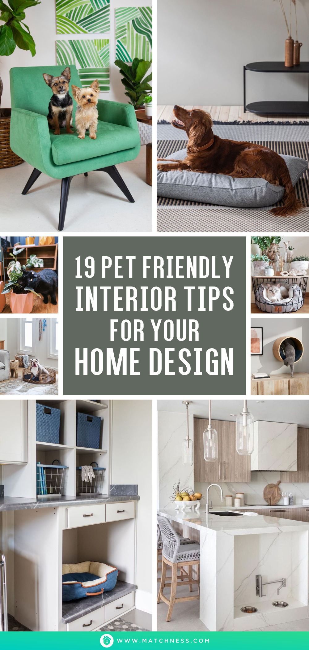19 pet friendly interior tips for your home design1