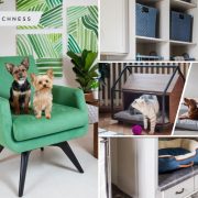 19 pet friendly interior tips for your home design2