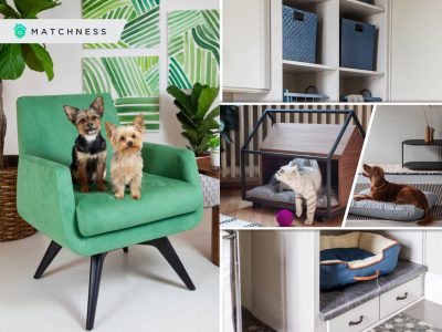 19 pet friendly interior tips for your home design2