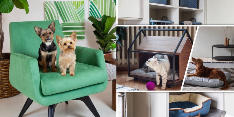 19 pet friendly interior tips for your home design2