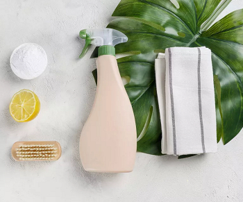 A vinegar or lemon juice Easy To Follow Ways To Keep Your Indoor Plant Leaves Shiny Everyday