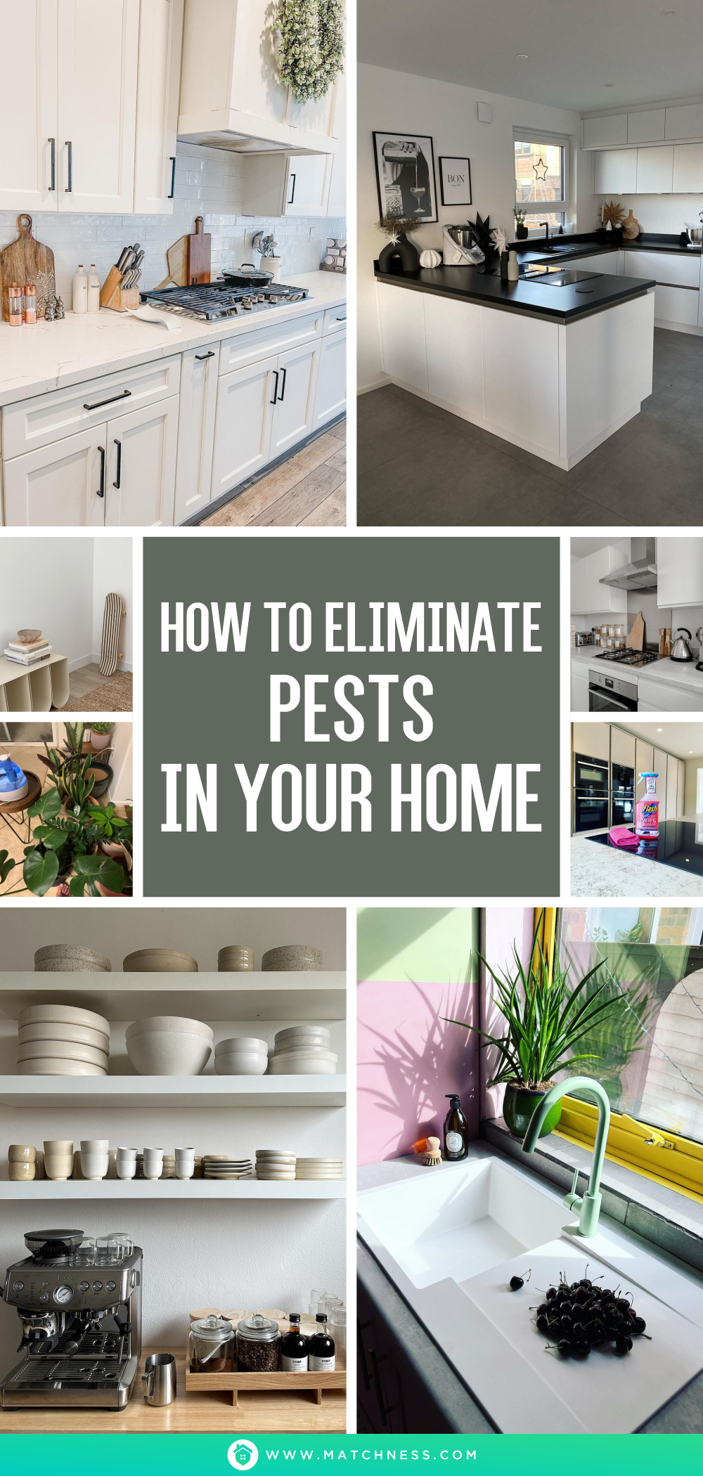 How to eliminate pests in your home1