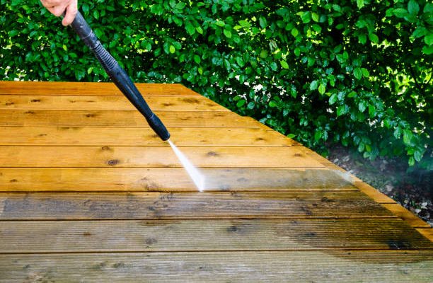 Istockphoto-1027720124-612x612