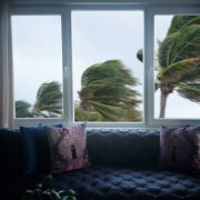 Indoor view of close up window and waving palm trees in windy tropical storm