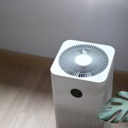 Air purifier in comfortable living room with house plant on the wooden floor.