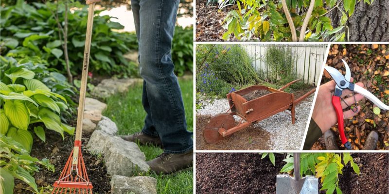 10 essential gardening tools you should have fi