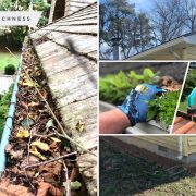 24 how to treat your gutter well fi