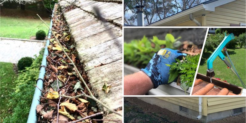 24 how to treat your gutter well fi