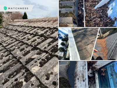 4 tips to improve the appearance of your roof2