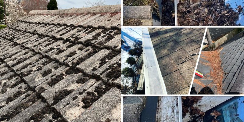 4 tips to improve the appearance of your roof2