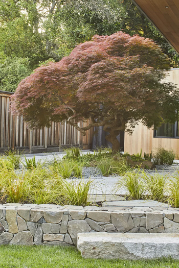A big focal tree in a minimal garden Beautifully-designed minimalist backyards For A Peaceful Outdoor Look