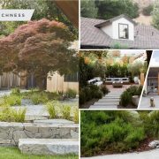 Beautifully-designed minimalist backyards for a peaceful outdoor look2
